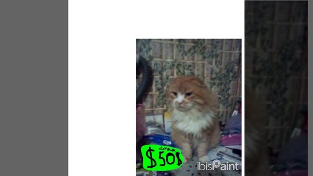 Лайк и подписка а то сделаю канал платным смотреть онлайн