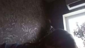 VID_20260118_163344.mp4