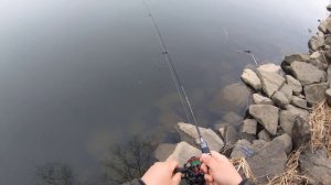 мой первый карась на грушку