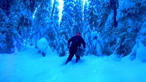 Рыбак зашел в лес нашел озеро такого не ожидал. Рыбалка в глухозимье 2026 на жерлицы и мормышку