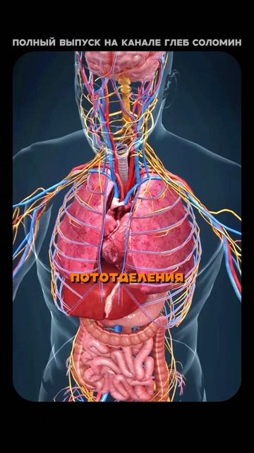 Сколько нужно пить воды | Бубновский | Полный выпуск на канале «Глеб Соломин» смотреть онлайн
