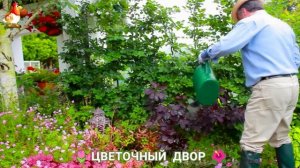 Цветы на участке и во дворе как красиво посадить фото идеи для вдохновения (232)