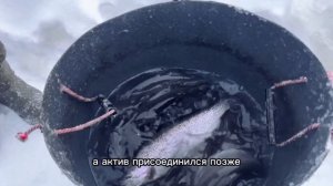 video_2026-01-18_10-53-53