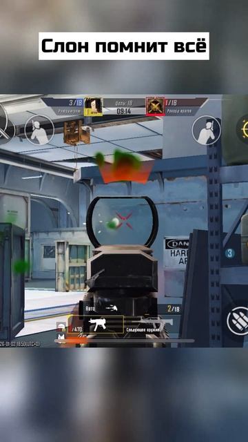 Слон помнит всё смотреть онлайн