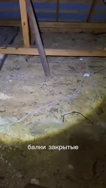 Можно ли утеплить крышу опилками? Проверяем❄️🏠 #домвдеревне #утепление #деньвдеревне #жизньвдеревне