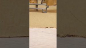 обзор на конюшню и мини-сериалы