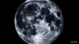 Эдит с луной🌙