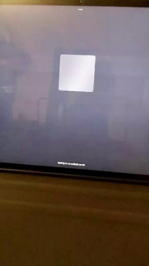 играю с подписчиками в игру в кальмара