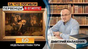 За что были поражены невинные первенцы других народов в Земле Египта? Зера Шимшон 12,  Глава Бо.