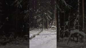 Надышусь я тобой