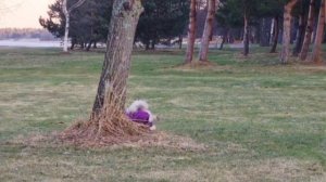 Кунг-фу от Ши-тцу!!!