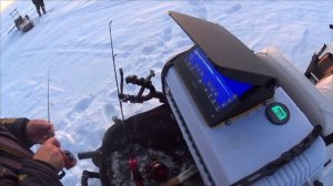 СЕКРЕТНАЯ ТОЧКА  / СУДАК НЕ ПОСТРАДАЛ