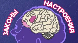 Настроение/ что отвечает за наше настроение - Смешарики