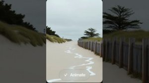 Иосиф Бродский — Песчаные холмы, поросшие сосной (вар2)