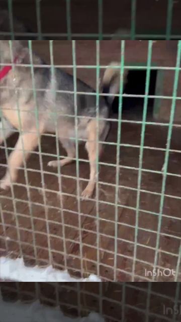     ИТОГИ НОВОГОДНЕЙ ЯРМАРКИ ФИГУРОК