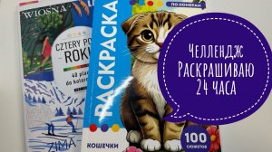 Челлендж Раскрашиваю 24 часа раскраски по номерам.
