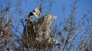 Двое детей и один взрослый пострадали при падении обломков БПЛА на дом в Беслане
