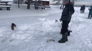 поимка форели на ратлин