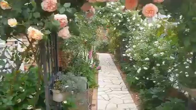 🌿🐞🌿сад смотреть онлайн