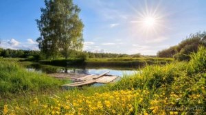 Любимая пора