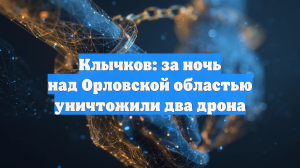 Клычков: за сутки над Орловской областью уничтожили два дрона