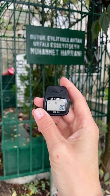 Пятничный Соляуат. Шейх Шамиль аш-Шафи'ий. смотреть онлайн