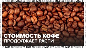 В Москве зафиксировали увеличение стоимости кофе - Москва 24