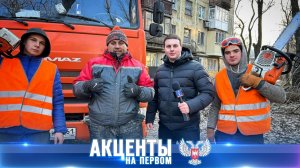 ⚡️ Мороз, высота и бензопилы: в городах ДНР кронируют и убирают аварийные деревья!