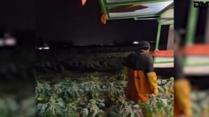 Самые невероятные и редкие видео интернета!. Видео из интернета.