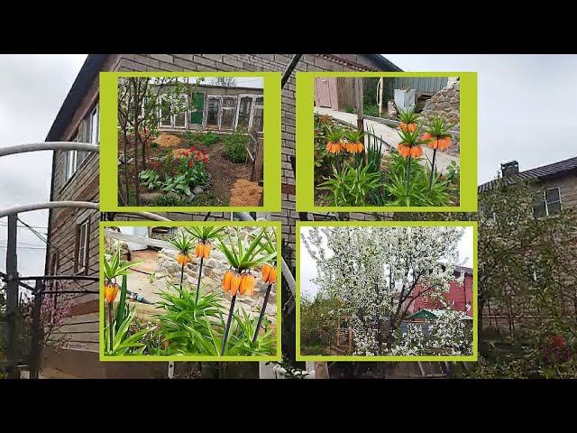 ВЕСЕННИЙ САД АПРЕЛЬ 2025 смотреть онлайн