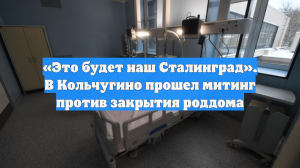 «Это будет наш Сталинград». В Кольчугино прошел митинг против закрытия роддома