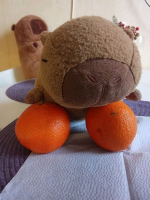 вкусняшки 😋