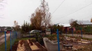 Осень 2024. Ежевичник. Начало.