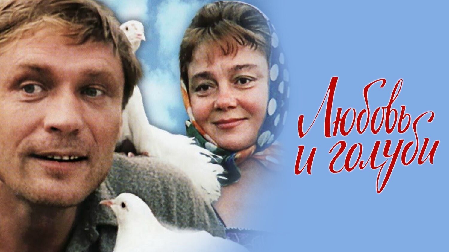 ЛЮБОВЬ И ГОЛУБИ ( лучшие фразы ) 4К смотреть онлайн