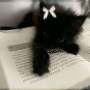 гадаем и отвечаем на вопросы