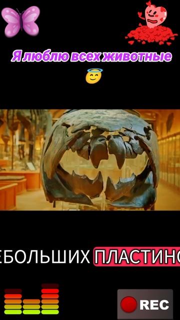 Я люблю всех животных😇 смотреть онлайн