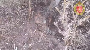 На Краснолиманском направлении 7-я отдельная гвардейская мотострелковая бригада взяла село Закотное…