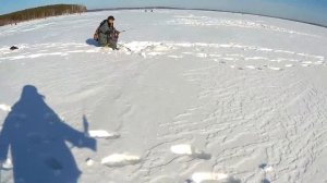 Спортивная и Любительская рыбалка на озере Исеть