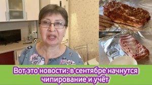 Вот это новости: в сентябре начнутся чипирование и постановка на учёт. Я в шоке!