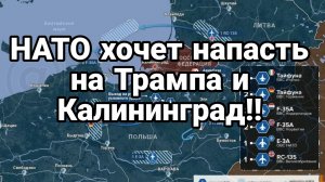 ТАМИР ШЕЙХ / НАТО ХОЧЕТ НАПАСТЬ НА ТРАМПА И КАЛИНИНГРАД. новости сводки