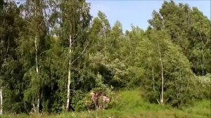 Богославная Русь