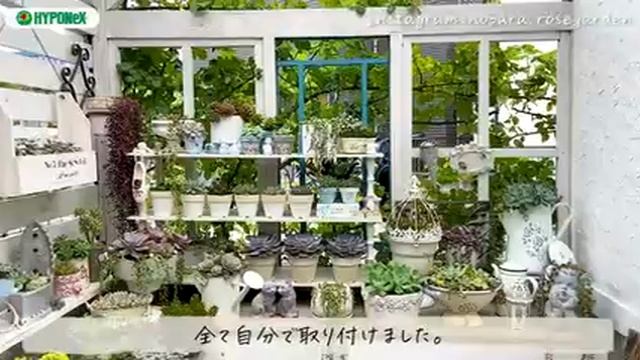 сад смотреть онлайн