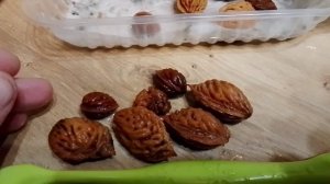 Начинаю стратификацию косточковых.2026г.