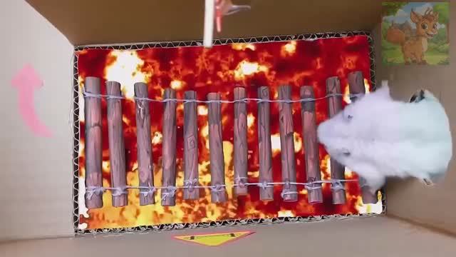 Город был крещен войной, и маленький хомячок водил танк, чтобы ожесточить врага смотреть онлайн