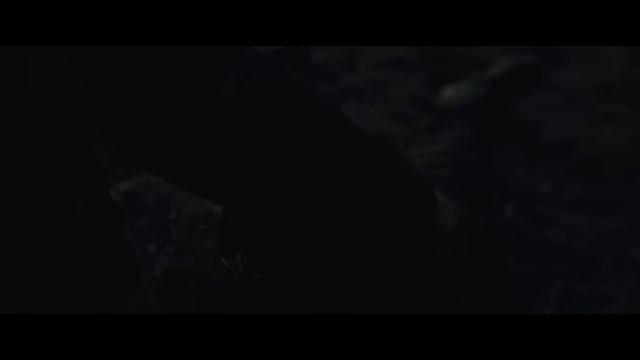 Убежище (2026) (SHELTER - Official Trailer HD) смотреть онлайн