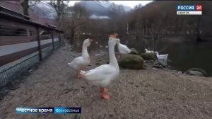 13.00 – «Местное время. Вести». от 18.01.2026г.               «Вести. Интервью».  от 18.01.2026г.