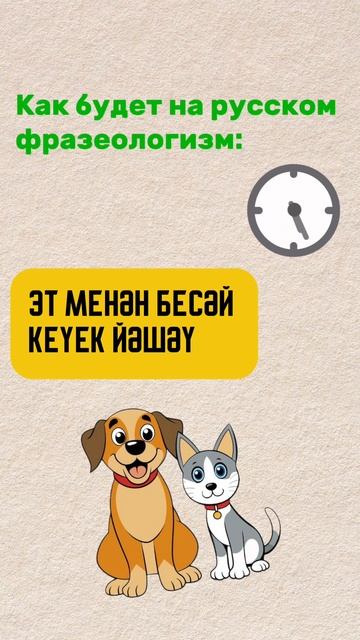 ЭТ МЕНӘН БЕСӘЙ КЕҮЕК ЙӘШӘҮ смотреть онлайн