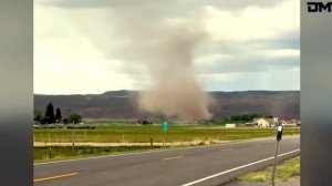 Лучшая подборка уникальных моментов интернета. Видео из интернета.