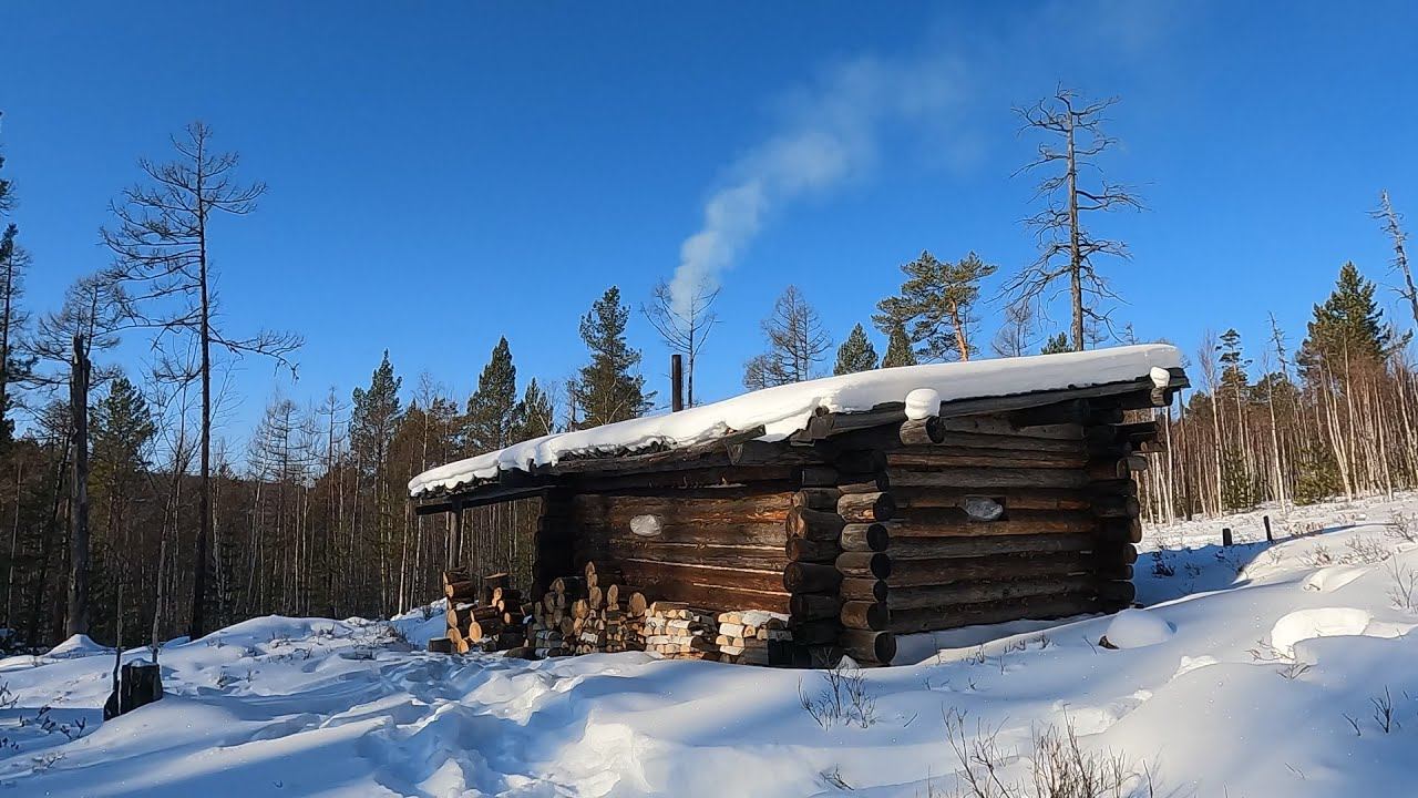 ПРОВЕРИЛ ПУТИК. ЗАНОЧЕВАЛ В ТАЁЖНОМ ЗИМОВЬЕ. ДОБЫЛ БЕЛКУ. #идилесом 29.01.24 смотреть онлайн
