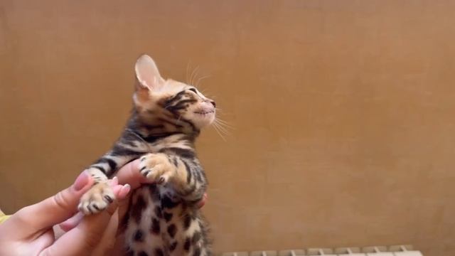 Мальчик 2 смотреть онлайн